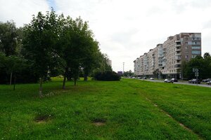 Санкт‑Петербург, Улица Турку, 5/13: фото