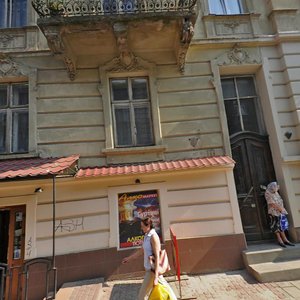 Vulytsia Nechuia-Levytskoho, 10, Lviv: photo