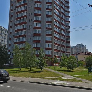 Akademika Viliamsa Street, 13к2 ، كييف: صورة