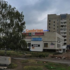 Moskovskiy Avenue, 118А ، نابريجني تشيلني: صورة