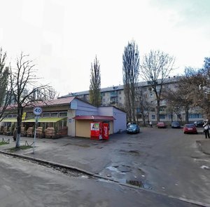 Mykoly Vasylenka Street, 6, Kyiv: photo