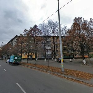 Borschahivska Street, 150, Kyiv: photo