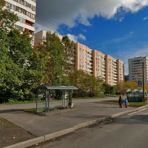 Soldata Korzuna Street, No:26, Saint‑Petersburg: Fotoğraflar