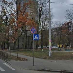 Mykhaila Kotelnykova Street, 2/14 ، كييف: صورة