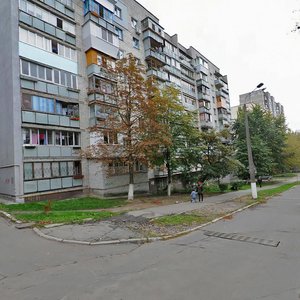 Mashynobudivna Street, No:14, Kiev: Fotoğraflar