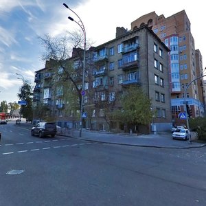 Naberezhno-Luhova Street, 3, Kyiv: photo