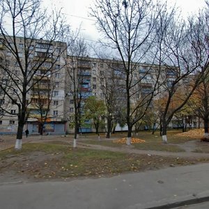 Akademika Korolova Street, 6, Kyiv: photo