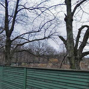 Tchaykovskogo Street, 13, : foto