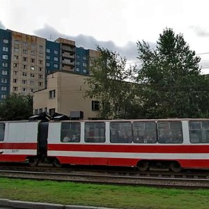 Kosygina Avenue, 13к2, Saint Petersburg: photo