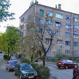 Oleksy Tykhoho Street, No:22, Kiev: Fotoğraflar