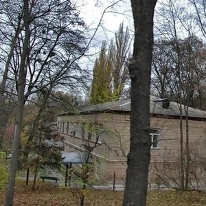 Lva Tolstoho Street, 27/35, Kyiv: photo