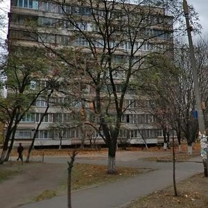 Tuluzy Street, 26, Kyiv: photo