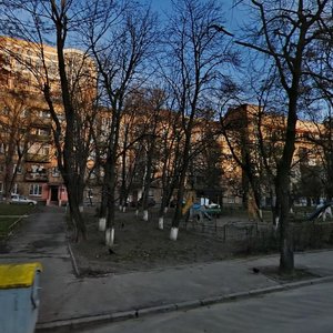 Vasylia Tiutiunnyka Street, 5А, Kyiv: photo