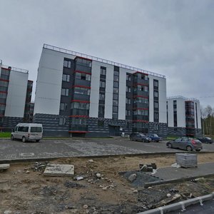 Chistaya Street, 2, Petrozavodsk: photo