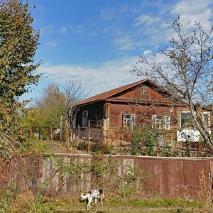 Honcha vulytsia, 105, Chernihiv: photo