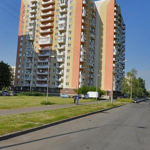 Санкт‑Петербург, Малая Каштановая аллея, 4: фото