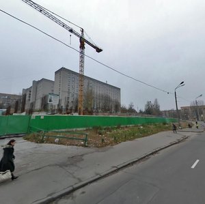 Mykoly Holeho Street, 7В, Kyiv: photo