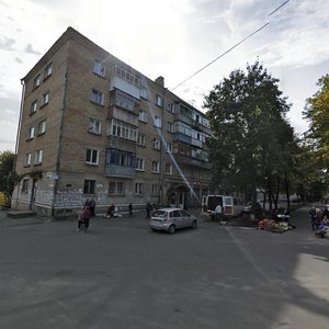 Sklozavodska vulytsia, 3, Bucha: photo