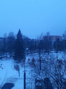 Ulitsa Veteranov, 3 ، : صورة