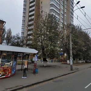 Vidradnyi Avenue, 55, Kyiv: photo