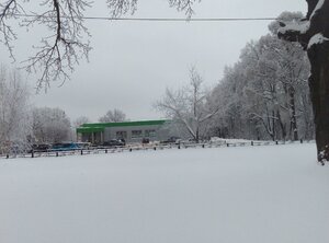 Bondarenko Street, 1, Orehovo‑Zuevo: photo