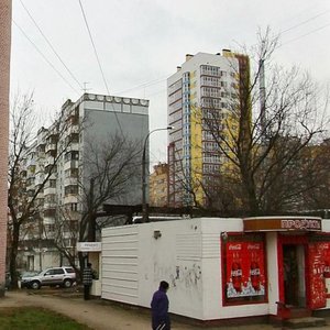 Нижний Новгород, Улица Бориса Панина, 9Б: фото