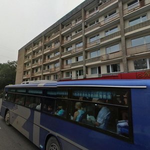 Bestuzheva Street, 29 ، فلاديفوستوك: صورة