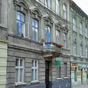 Snopkivska vulytsia, 6, Lviv: photo