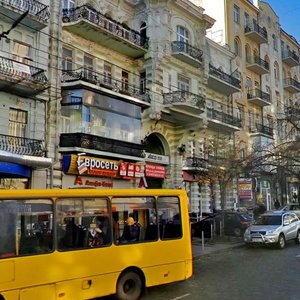 Velyka Vasylkivska Street, 28, Kyiv: photo