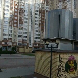 Pionerskaya Street, 30к6, : foto
