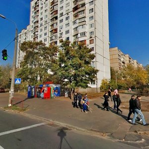 Raiduzhna Street, 11, Kyiv: photo