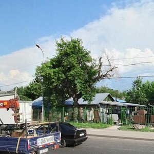 Raiymbek Avenue, 206, Almaty: photo