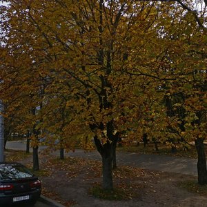 Galadzieda Street, 61, : foto