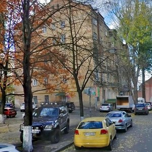 Bekhterevskyi Lane, 13, Kyiv: photo