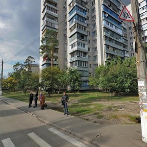 Boryspilska Street, 32В, Kyiv: photo