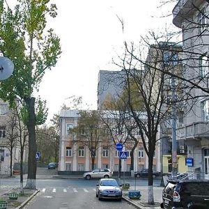 Sichovykh Striltsiv Street, 45, : foto