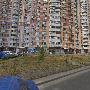 Oleny Pchilky Street, 2, Kyiv: photo