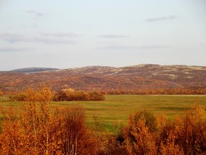 Мурманский Рыболовный Форум