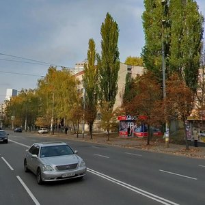 Nauky Avenue, 21, Kyiv: photo