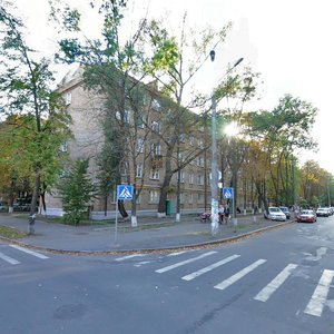 Saliutna Street, 14/51, Kyiv: photo