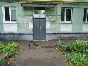 Pobedy Street, 78, Samara: photo