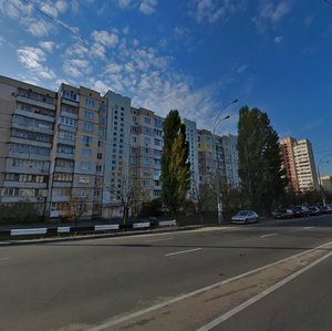 Heroiv Dnipra Street, 62, Kyiv: photo