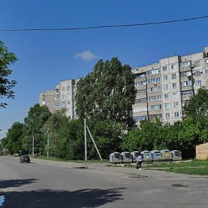 Olexandra Bilasha street, 8, Kremenchuk: photo