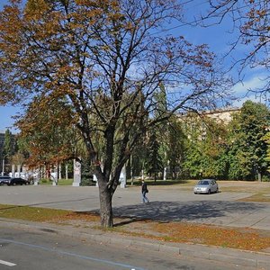 Peremohy Avenue, 52/2, : foto