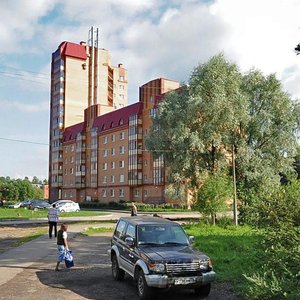Kostyleva Street, 19, Lomonosov: photo