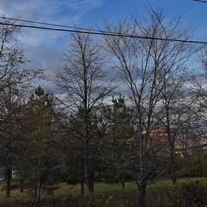 Ryabinovaya Street, 44с3 ، موسكو: صورة