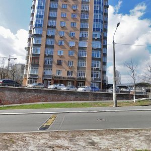 Vasylia Tiutiunnyka Street, 16 ، كييف: صورة