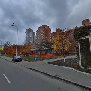 Antonovycha Street, 150А ، كييف: صورة