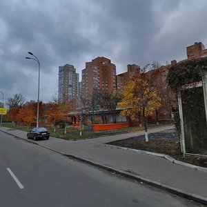 Antonovycha Street, 150А, Kyiv: photo