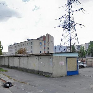 Svitlytskoho Street, 37А, Kyiv: photo